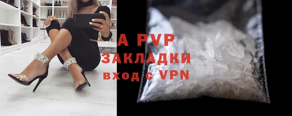 дурь Бородино