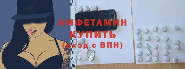 дурь Бородино