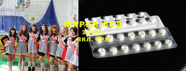 дурь Бородино