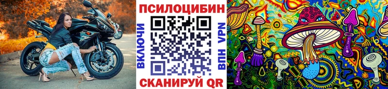 Псилоцибиновые грибы Psilocybe  купить наркоту  Мензелинск 